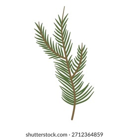 A natural pine needle sprig for winter holiday crafts