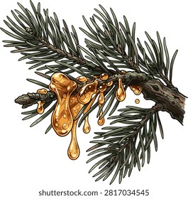 Natural Pine Tree Sap Dripping from Bark Branch Vector Illustration Featuring Golden Amber Resin Liquid Drops 
