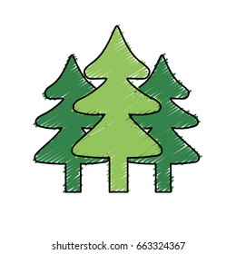 natural pine trees to ecology reserve