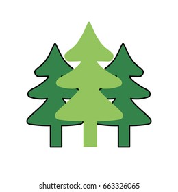 natural pine trees to ecology reserve