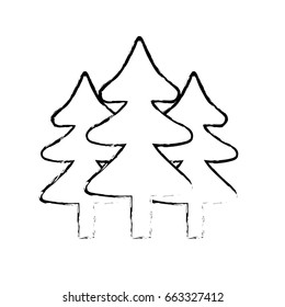 natural pine trees to ecology reserve