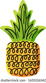 Natural pineapple hand drawn vector illustration. Ripe tropical fruit, ananas doodle drawing