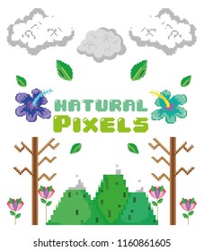 Natural pixels cartoons