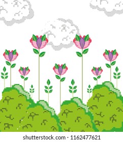 Natural pixels cartoons