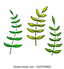 Natural plant. Abstract doodle flower. Sketch green Stem with leaves