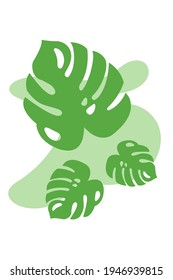 Natural plant banner, with green monstera leaves, botanical poster. Background for interior design, tropical poster, with abstract green spots, with monstera leaves and branches, in minimalist style