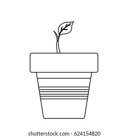 Natural plant ecology