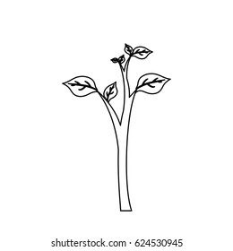 Natural plant ecology