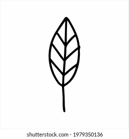 Natural plant leaf icon. Hand drawn line art illustration of natural plant leaf vector icon for web design