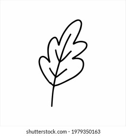 Natural plant leaf icon. Hand drawn line art illustration of natural plant leaf vector icon for web design