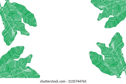 Natural Plant Leaf Line Art Background Vector Wallpaper