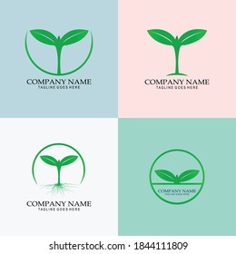 Natural plant logo, stickers, labels, tags. Editable Vector logos.