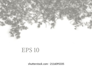 Natural plant shadow. Mesh soft overlay light effects transparent on white wall. Template for design presentation card, poster, stories Photo realistic vector illustration