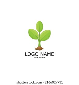 Natural plant tree icon logo design