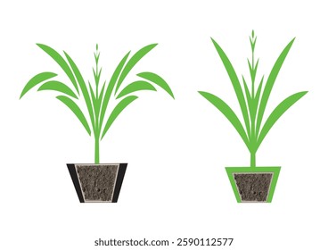 Natural plants vector art and  graphics design. 