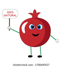natural pomegranate illustration. organic fruit