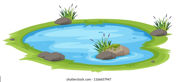 A natural pond on white background illustration