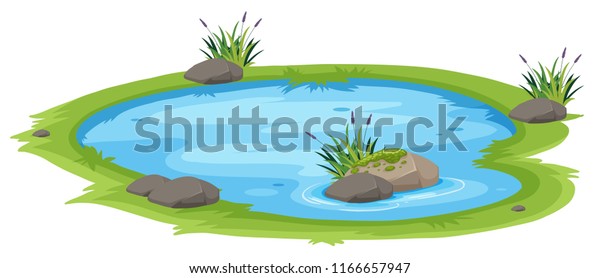 白い背景に自然の池のイラスト のベクター画像素材 ロイヤリティフリー