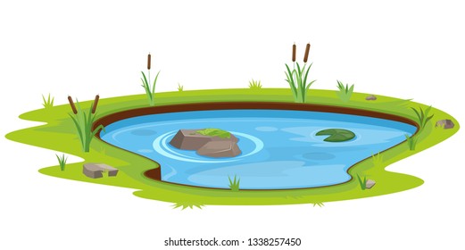 Natural pond outdoor scene