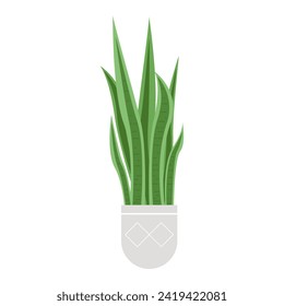 Natural potted houseplant. Decorative plant for interior design, botanicals flower cartoon vector illustration