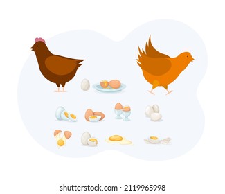 Natural poultry protein food elements set. Rooster, chicken, cooked and uncooked eggs, boiled, softboiled, peeled, eggshell. Eco friendly natural farm broken cracked half with yolk product flat vector