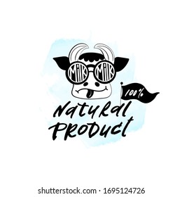 Natural product with a cow. Vector illustration in black and white on a blue watercolor background. Hand lettering.