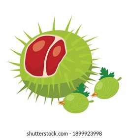 Natural product icon. Isometric illustration of natural product vector icon for web
