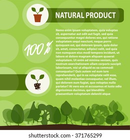 natural product with leaf sign in frame over green  background, vector