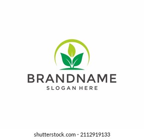 Natural product logo design vector template. Leaf icon