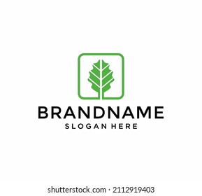 Plantilla vectorial de diseño de logotipo de producto natural. Icono de hoja