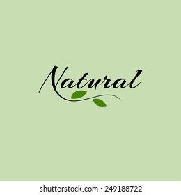 Natural Product Logo Design Vector Template With Leaf