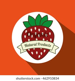 natural products food healthy vector illustration graphic