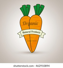 natural products food healthy vector illustration graphic