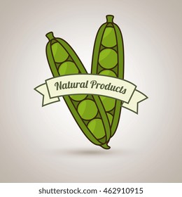 natural products food healthy vector illustration graphic