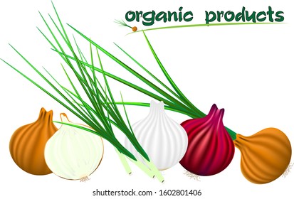 
natural products onions orange, white, blue with greens and in cut