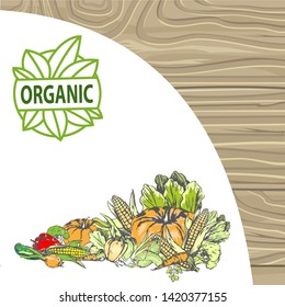 Natural products vector, bio food harvesting banner, corn and pepper, foliage and carrot pumpkin and onion meal fresh harvest organic fruits veggies. Logo for menu of bio products on wood background