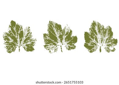 Natural pumpkin leaves imprint, grunge style, vector, isolated, decorative elements for design
