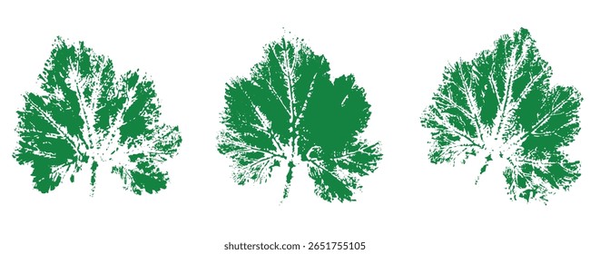 Natural pumpkin leaves imprint, grunge style, vector, isolated, decorative elements for design