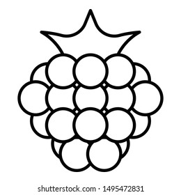Natural raspberry icon. Outline natural raspberry vector icon for web design isolated on white background