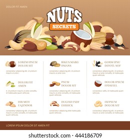 Natural raw nuts mix brochure design template. Set of nuts almond coconut cashew and peanut. Information banner about secrets nuts. Vector illustration