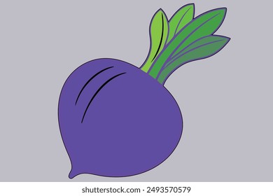 A natural realistic beetroot fruit