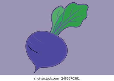 A natural realistic beetroot fruit