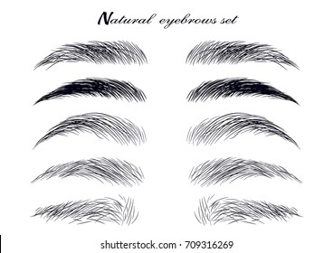 Natural Realistic Brow Sketch Set Forms Stock Vector (Royalty Free)  709316269