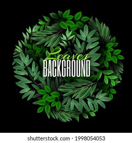 Natural Realistic Green branches Leaf Circle Background. Summer Time Concept. Template for advertising web social media and fashion ads. Vector illustration.