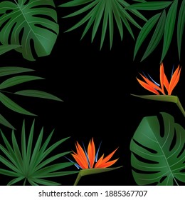 Natural Realistic Green Palm Leaf with Strelitzia Flower Tropical Background. Vector illustration
