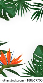 Natural Realistic Green Palm Leaf with Strelitzia Flower Tropical Background. Vector illustration