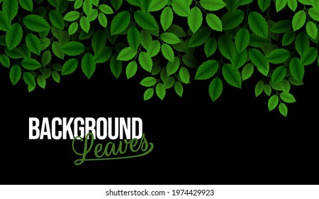 Natural Realistic pattern branch with fresh green leaves. Colorful dark background. Trendy repeat texture for fashion print wallpaper. Suitable for nature concept vacation and summer holiday.