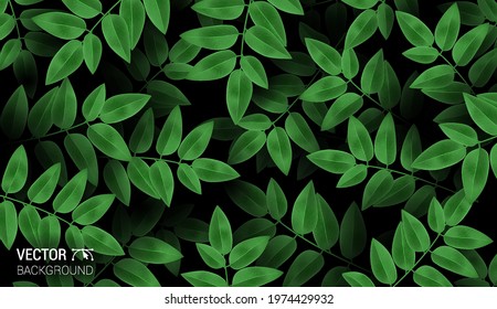 Natural Realistic pattern branch with fresh green leaves. Colorful dark background. Trendy repeat fashion print wallpaper or fabric. Cute vector.
