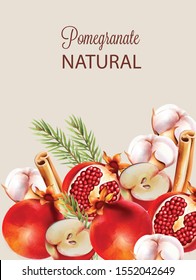 Natural red half sliced pomegranate with christmas ornaments. Cinnamon sticks, cotton, fir tree leaves, flowers, apple. Vector