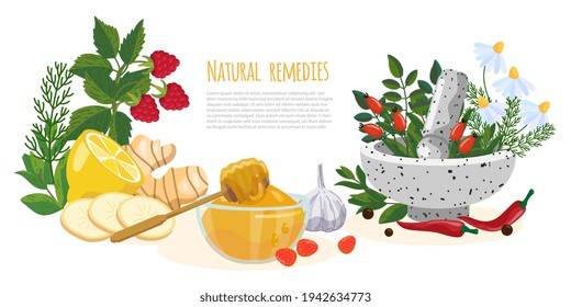 Natural remedies or folk medicine  banner. Raspberry, ginger, honey, garlic, pepper, chili, chamomile, lemon, rose hips, mint, mortar and pestle. Herbalism and Ayurveda concept with place for text 